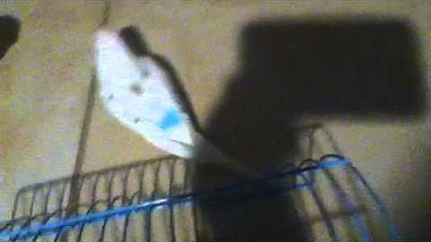 "Bruno Mars - The Lazy Song [Official Video]-[www_flvto_com]" Fan Video