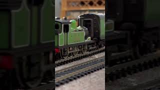 Terrier and Eurostar passing highfield park