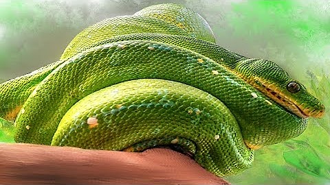How to Install Python with Anaconda, a conda Environment and FlussTools