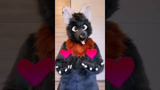 Furry Tik Tok 18