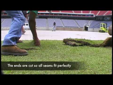 The Making of a Sports Field - video from Tri-Tex Grass