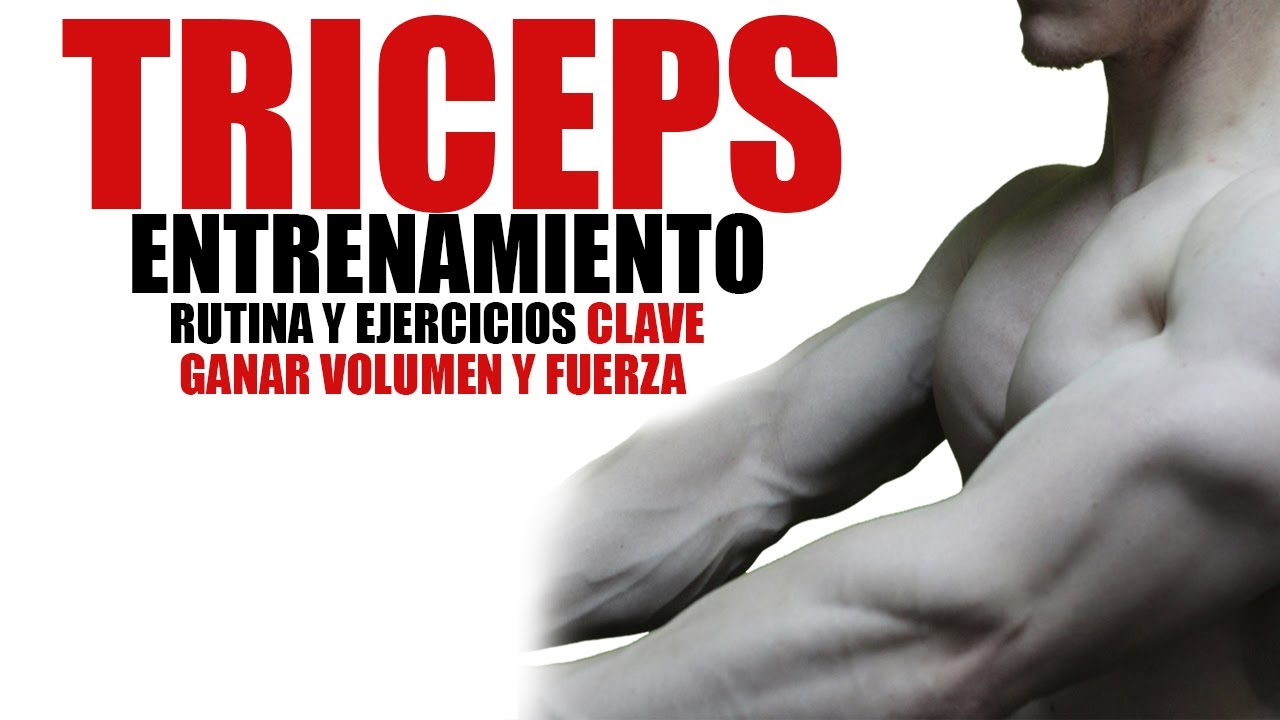 Ejercicios de fuerza trackid=sp-006