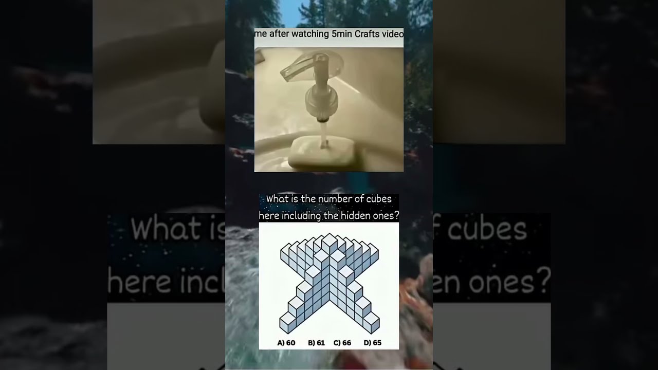 6p Memesdaily Memes Zyxabc Funnyimages