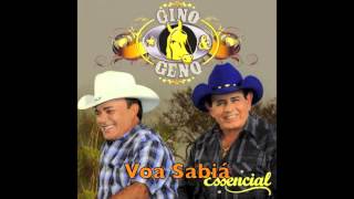 Voa Sabiá - Gino & Geno