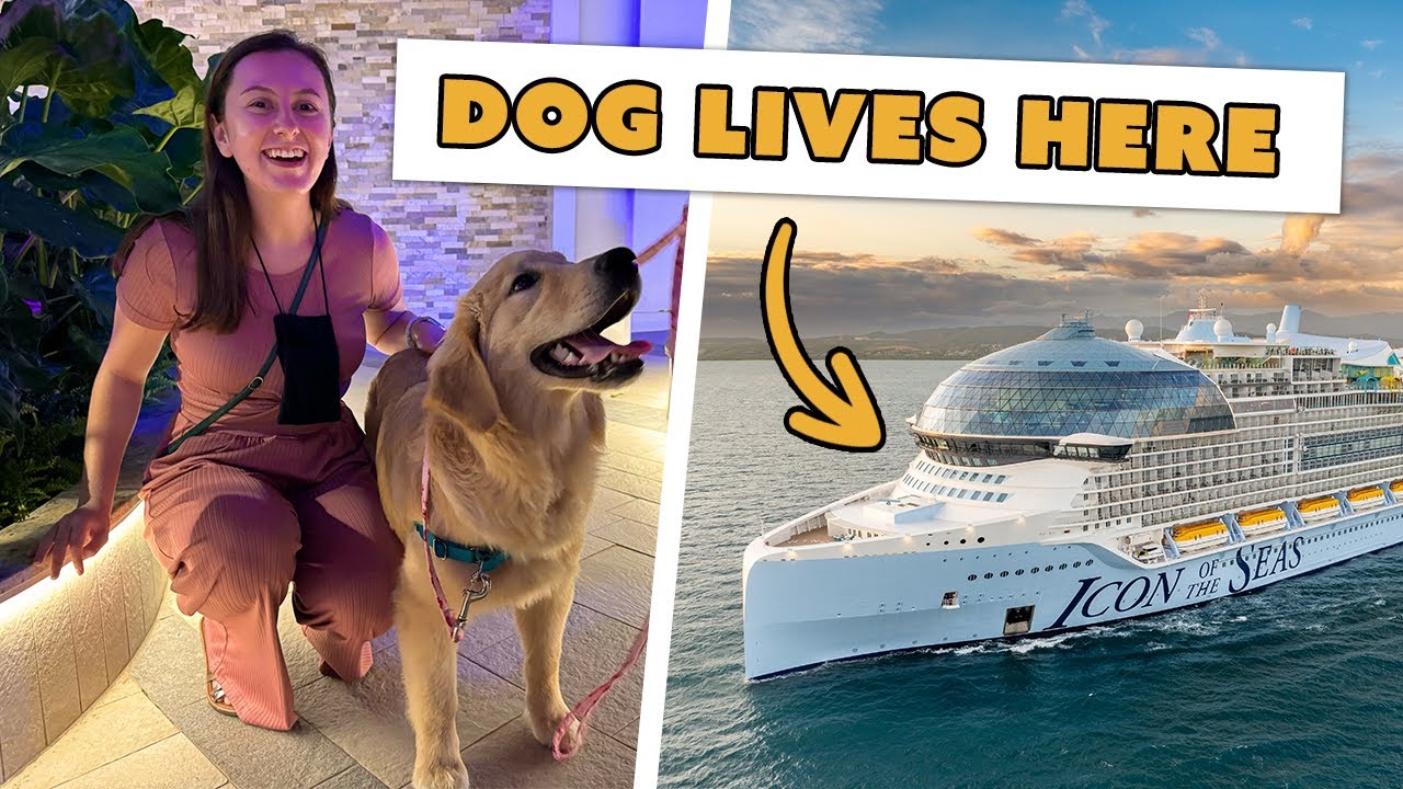 Searching for Rover on Icon of the Seas!