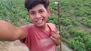 Ham log aaye the ham log aaye the khet per Masti