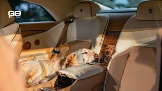 Rolls-Royce SPECTRE BAILEY - a charming tribute to the commissioning clients’ beloved dog