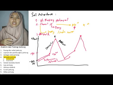 Video: Apakah sel otoritmik terletak di jantung?