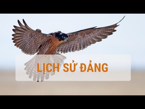 Video [Lịch sử Đảng] Hoàn cảnh ra đời của Đảng Cộng Sản VIệt... - youtube