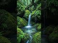 Enchanted Forest Waterfall 🌿 Relaxing Nature Sounds for Sleep &amp; Meditation