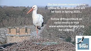 Preview of stream Knepp Stork nest