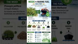 Weeds se Marine Fuel 😲 | India’s First Green Methanol Project 🇮🇳 | Future Energy Revolution.