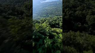 Ancient civilization in Amazon rainforest