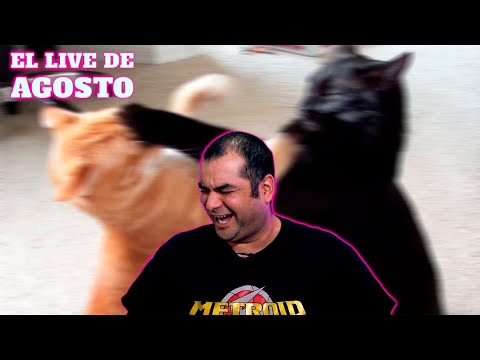 El Live de Agosto 2