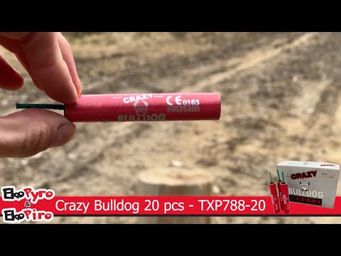 Video: Crazy Bulldog 20 kom