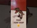 Loud Sound and Moving Tyrannosaurus Rex Dino Toy (Mainan Dino Berjalan) #toy #dino #trex #robot
