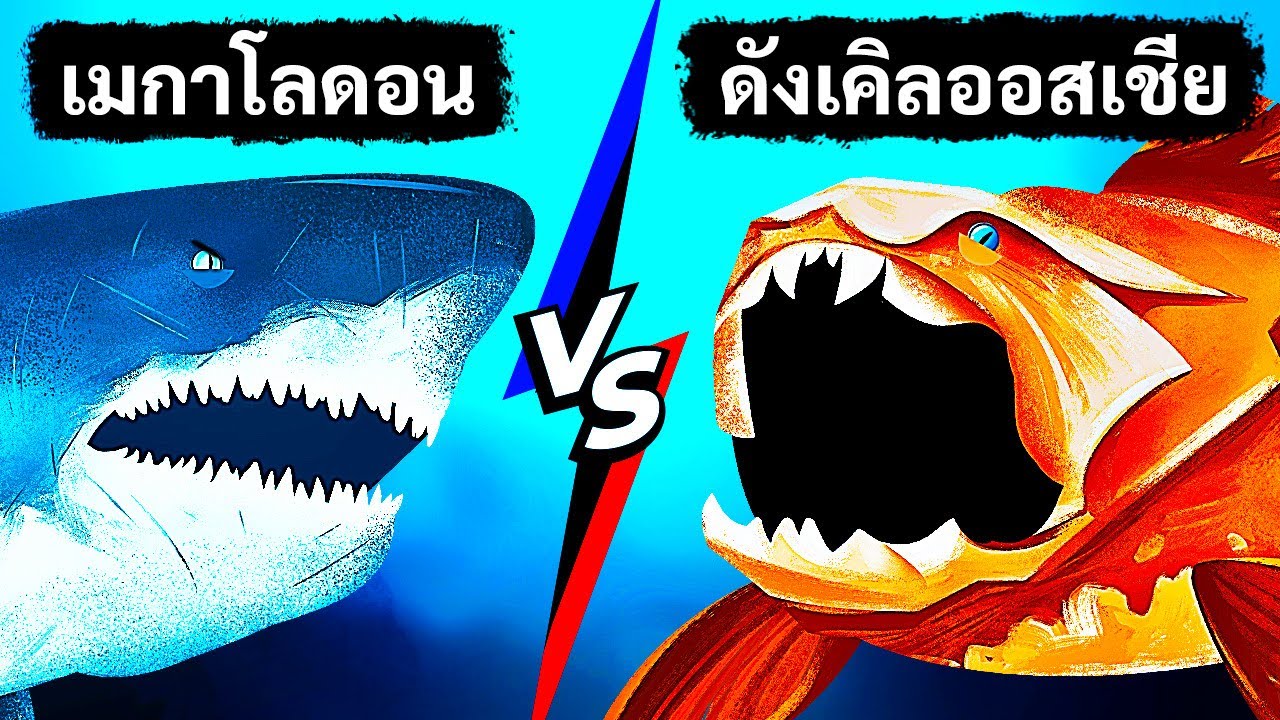จะเกิดอะไรขึ้นหากเม็กกาโลดอนต้องเผชิญหน้ากับปลาที่มีการกัดทรงพลังสุดๆ