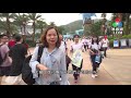 灣區追蹤。橫琴導遊