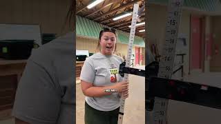 Who is bigger? Woody or Moose?! #horse #equestrian #horses Net Worth