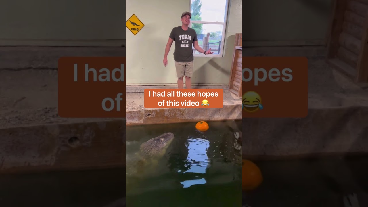 Alligator Pumpkin FAIL🎃 