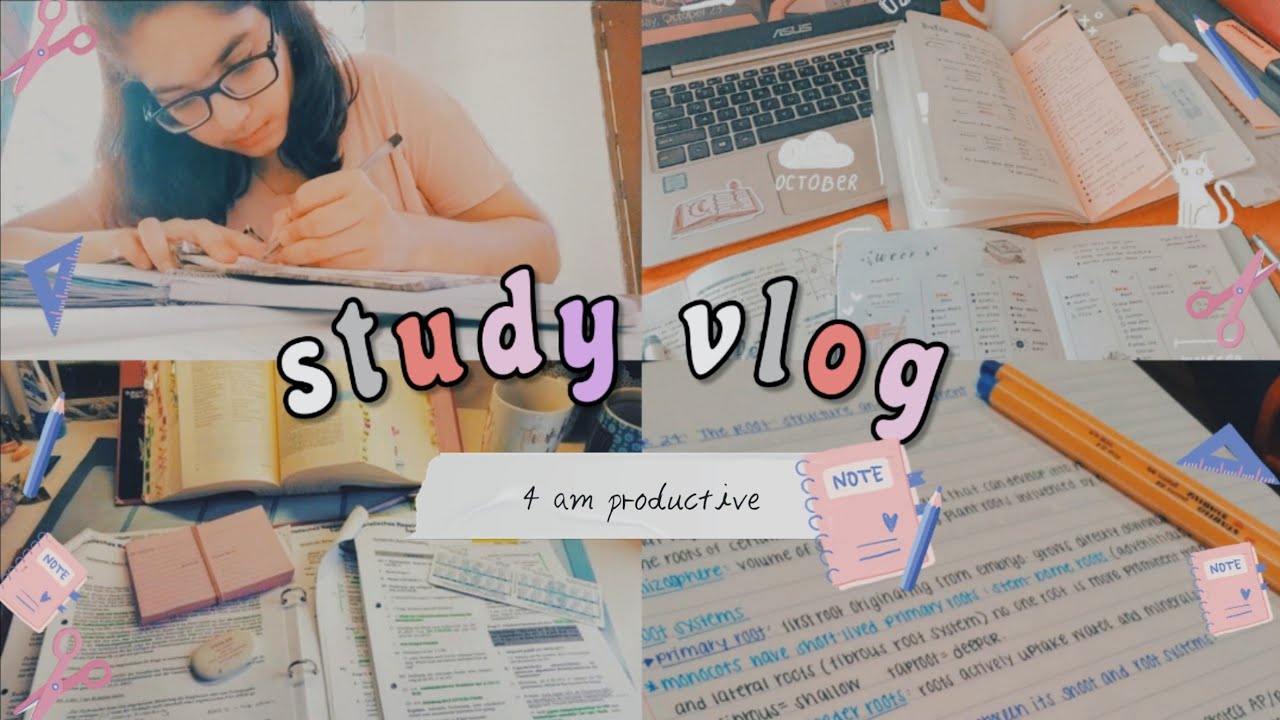 4 am study vlog 📚🦋|| productive morning study routine 💕 - YouTube