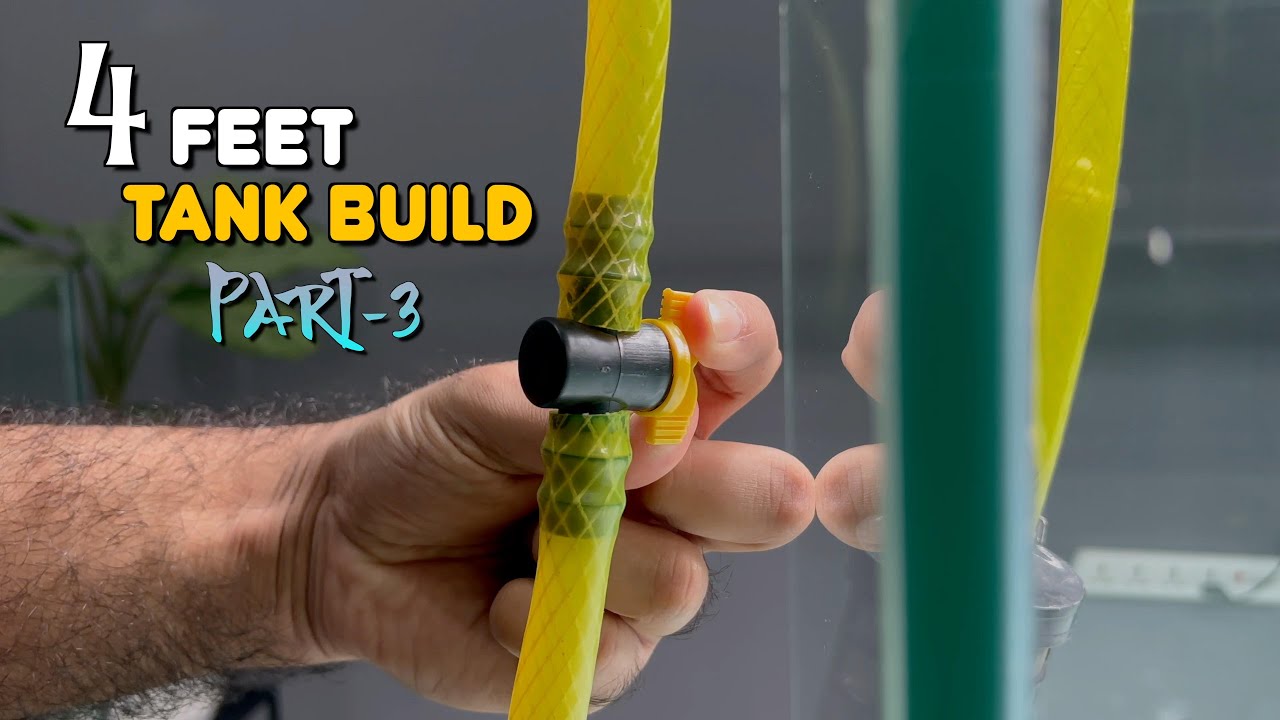 4 Feet Tank Build Part-3 😍 | Fish Tank | Monster Tank 