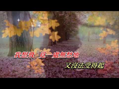 愛和夢   徐小鳳〈卡拉伴奏版〉