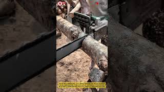 Hardwood Log Cutting Process for Efficient Timber Sizing and Material Preparation