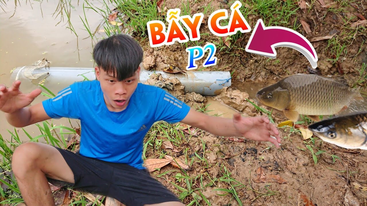 Lạ Vlog - Đặt bẫy thế này bảo sao hết cá ( Bẫy Cá Rô Mùa Mưa P2 ) Catch Fish