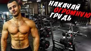 Как НАКАЧАТЬ МОЩНУЮ ГРУДЬ !? Подробный разбор программы !