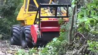Geo-Boy: In Action - Land Clearing
