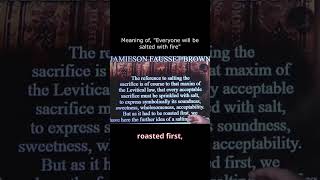 Meaning of, ＂Everyone will be salted with fire＂ #biblestudy