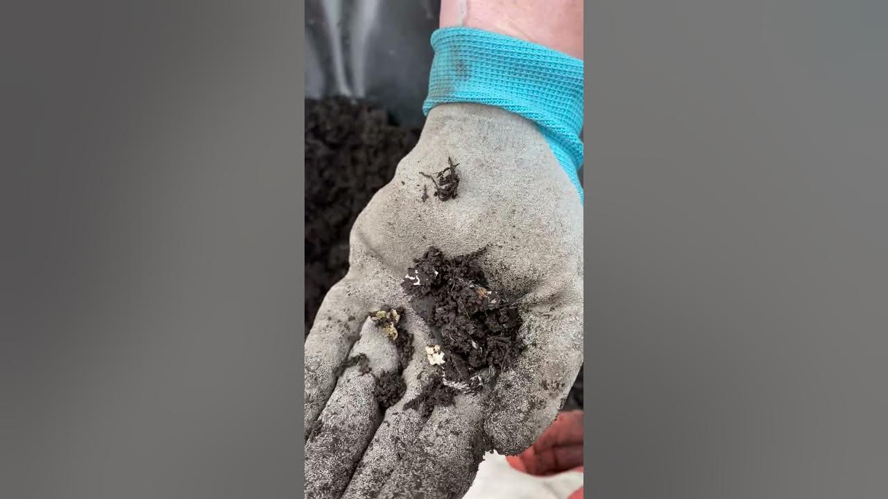 Expert Garden Soil Opening YouTube
