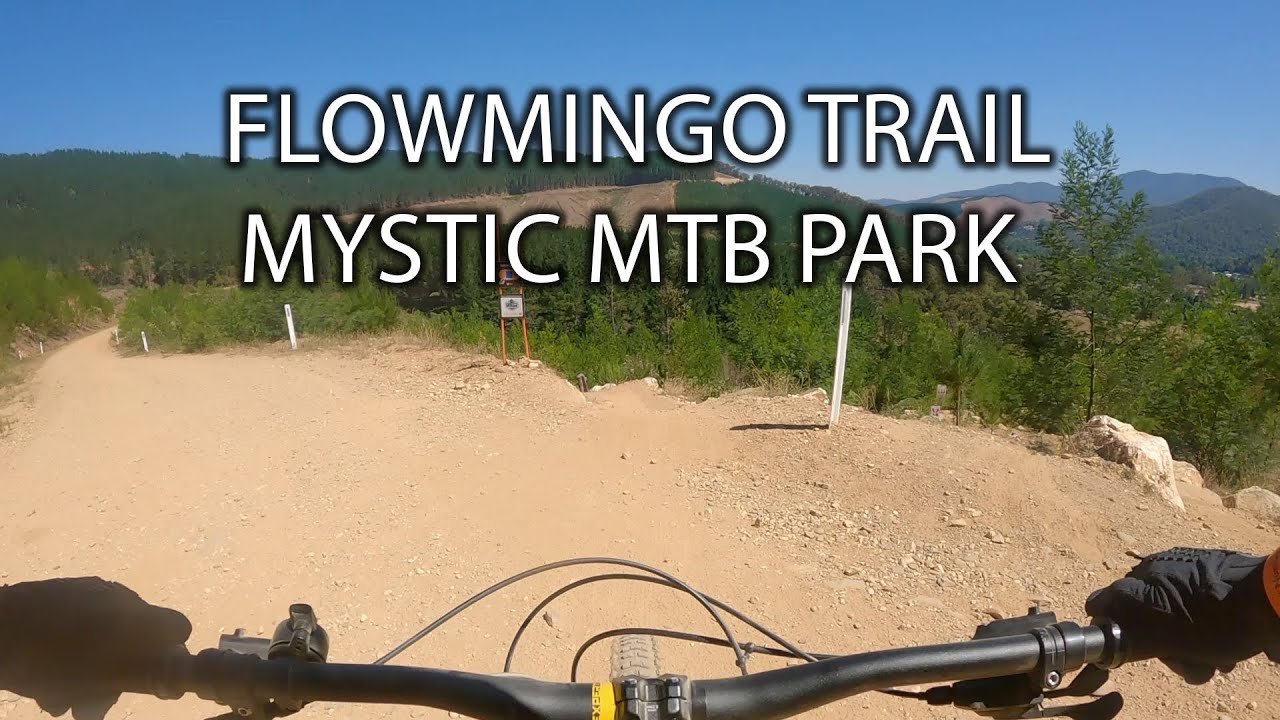 Flowmingo Trail Hyperlapse, Mystic Mountain Bike Park