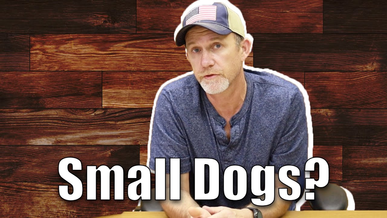 Can Small Dogs Scratch Up The New Bruce LVP Flooring? YouTube