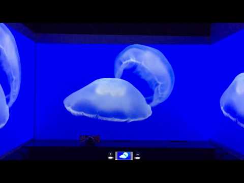 トリプルプロジェクタールームの動画サムネイル