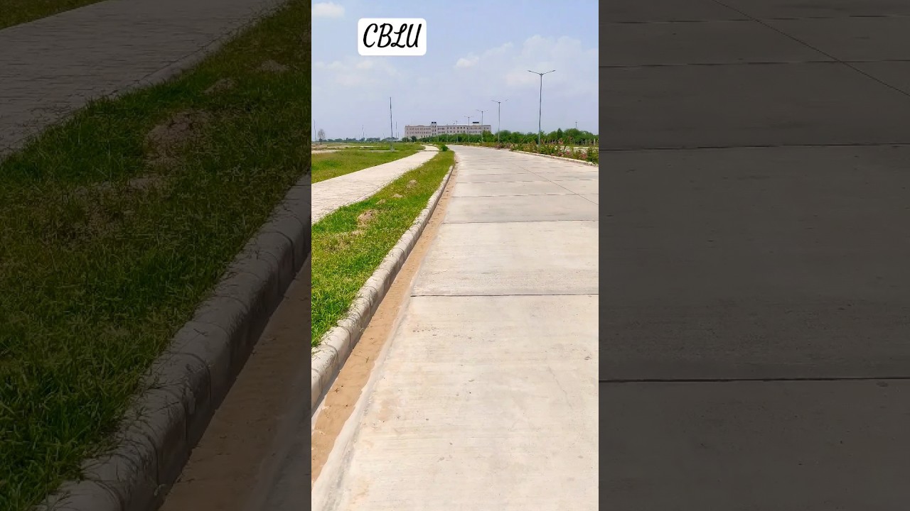 CBLU university on progress ☺ 