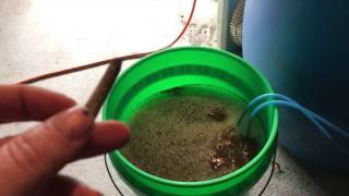 Brewing Some Tea & Smoke Session