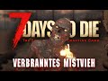 7 Days to Die 2.0 10 | Flammendes Inferno im verbrannten Wald! | Release Gameplay