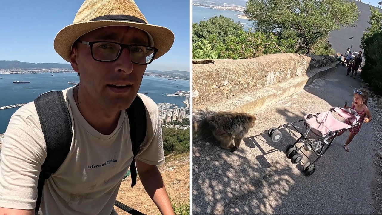 Gibraltar - zaatakowała nas małpa!