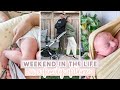 WEEKEND IN THE LIFE WITH A NEWBORN | Decorating For Christmas + Baking Healthy Granola Bars!