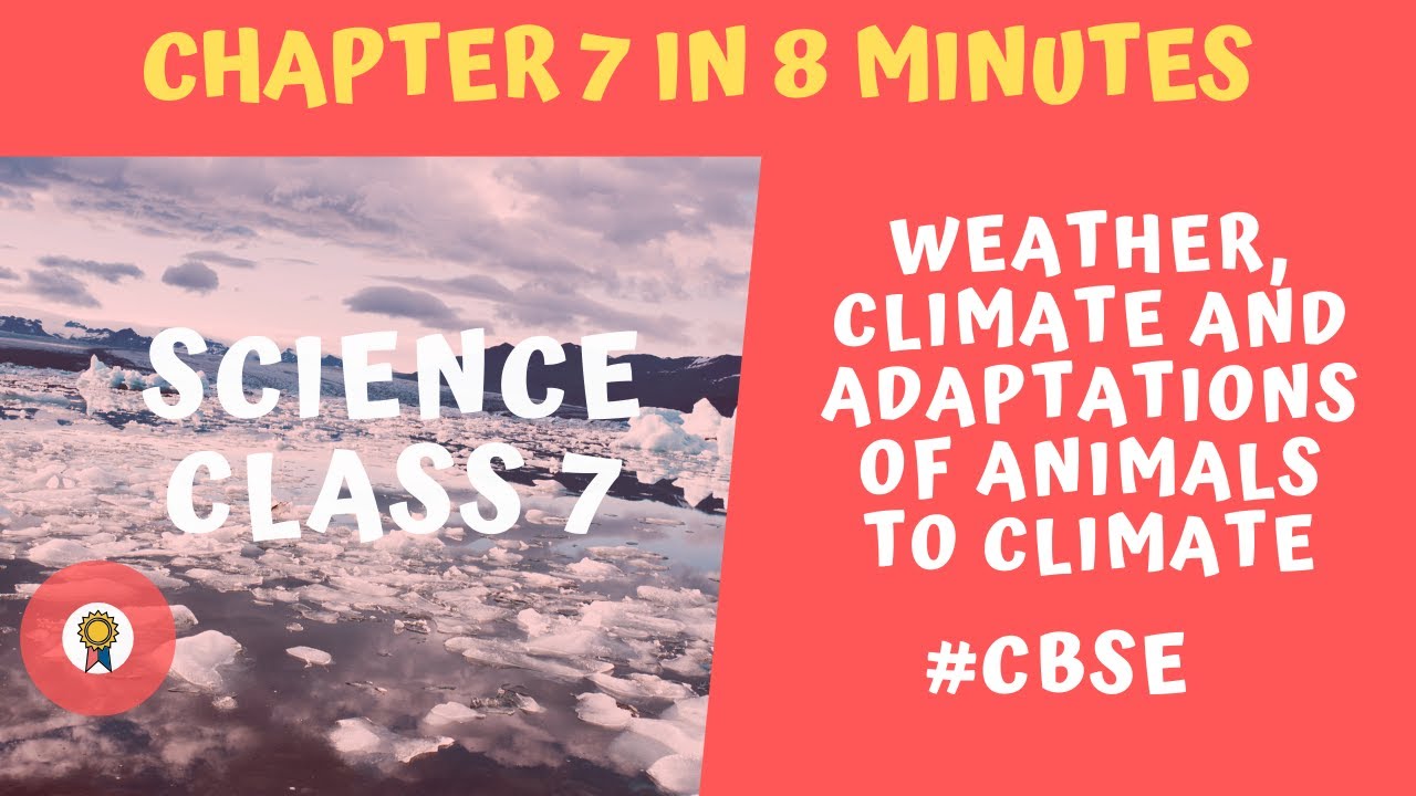 Weather, Climate and Adaptations of Animals to Climate Chapter 7 Class ...