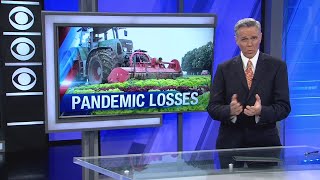 $2B in COVID-19 losses: Report shows how California farms have suffered