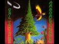 Ozric tentacles  dance of the loomi off arborescence