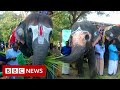 New video by BBC News on YouTube