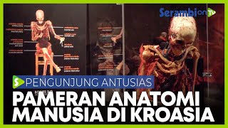 Pameran Anatomi Manusia di Zagreb yang Menarik Antusiasme Pengunjung