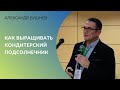 Как выращивать кондитерский подсолнечник | Александр Бушнев, ВНИИМК