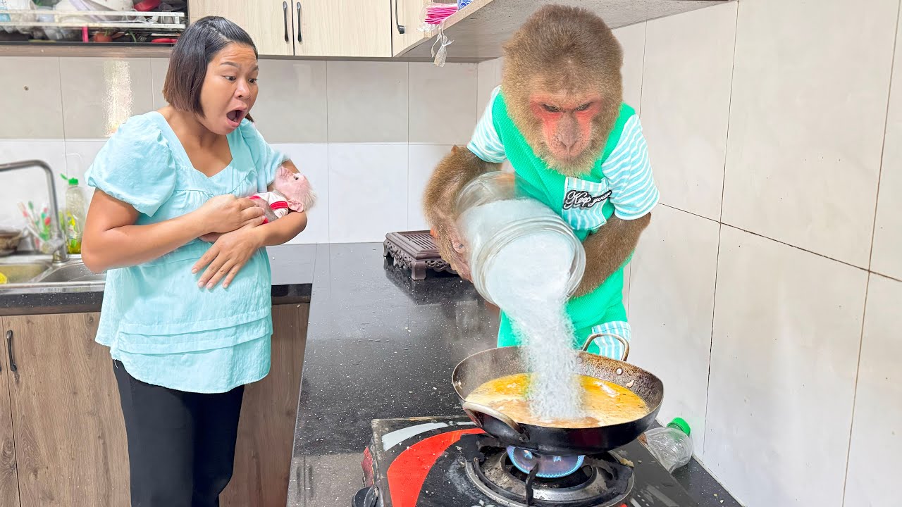 Super funny! CUTIS uses special ingredients to cook, making pregnant Mom panic😂