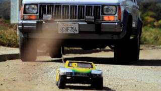 Road Hog By Alan Rencher