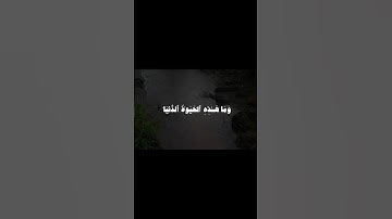 تلاوة الشيخ ياسر الدوسري  ||من ﴿سورة العنكبوت﴾||القرآن الكريم 🍃☁